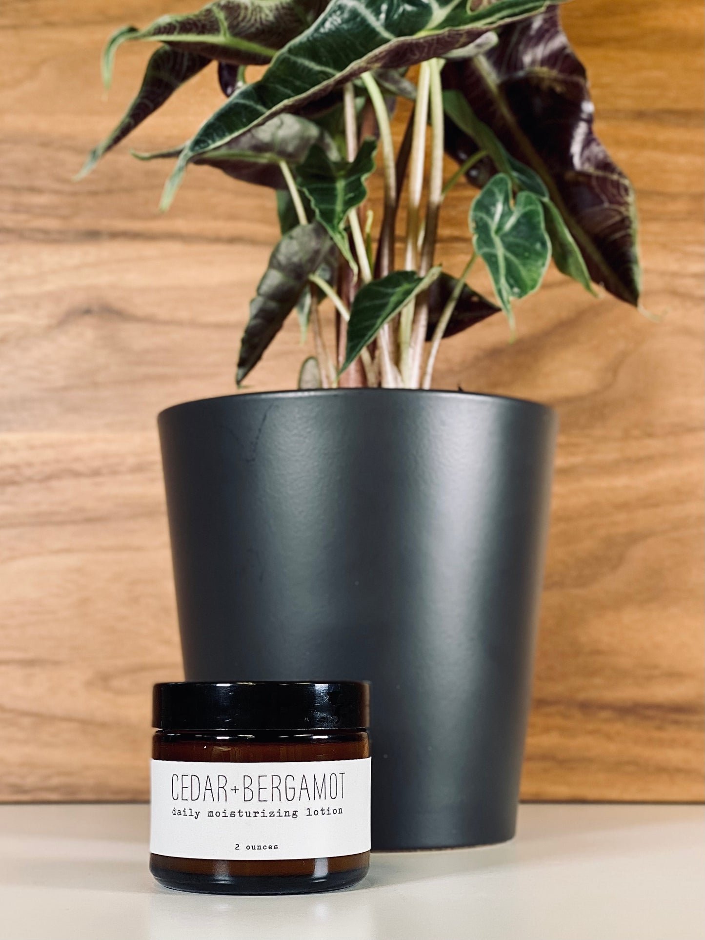 Daily Moisturizing Lotion - Woodsy - 2oz